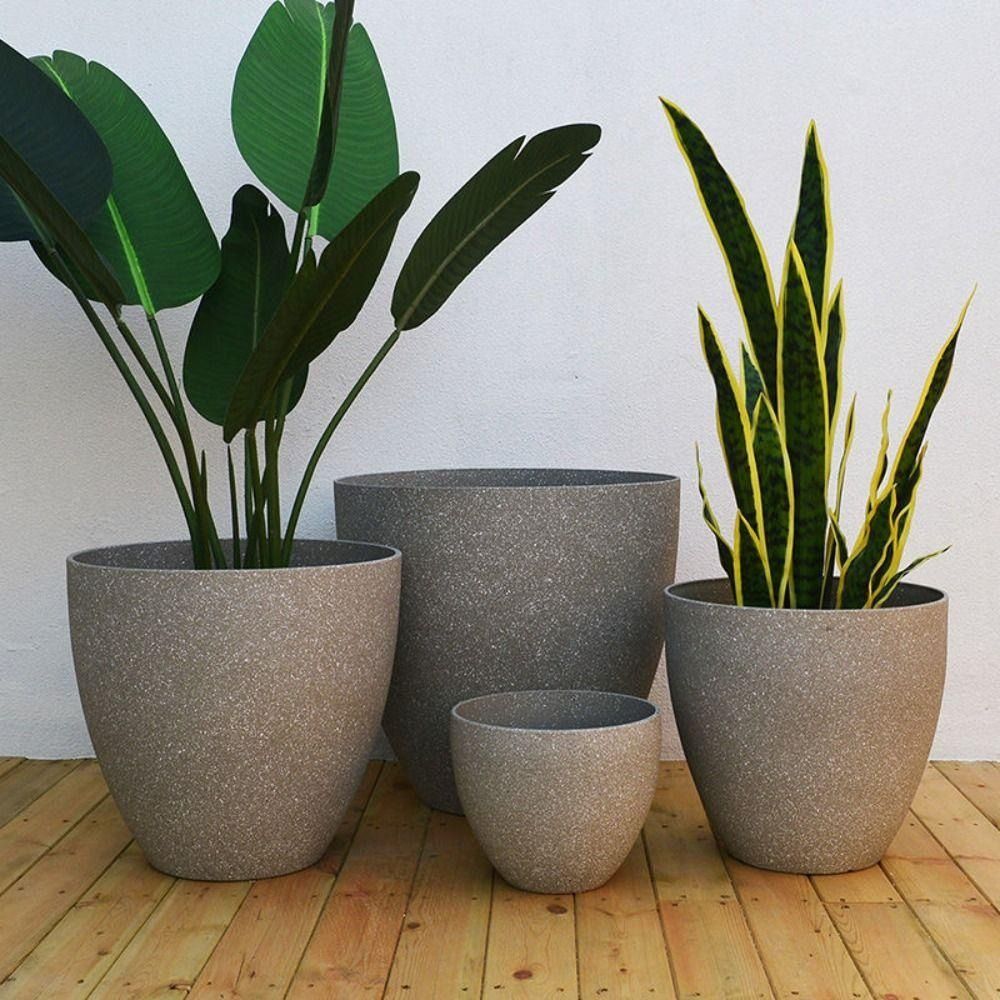 Aloe Vera Pot - Vaso da fiori per bonsai in