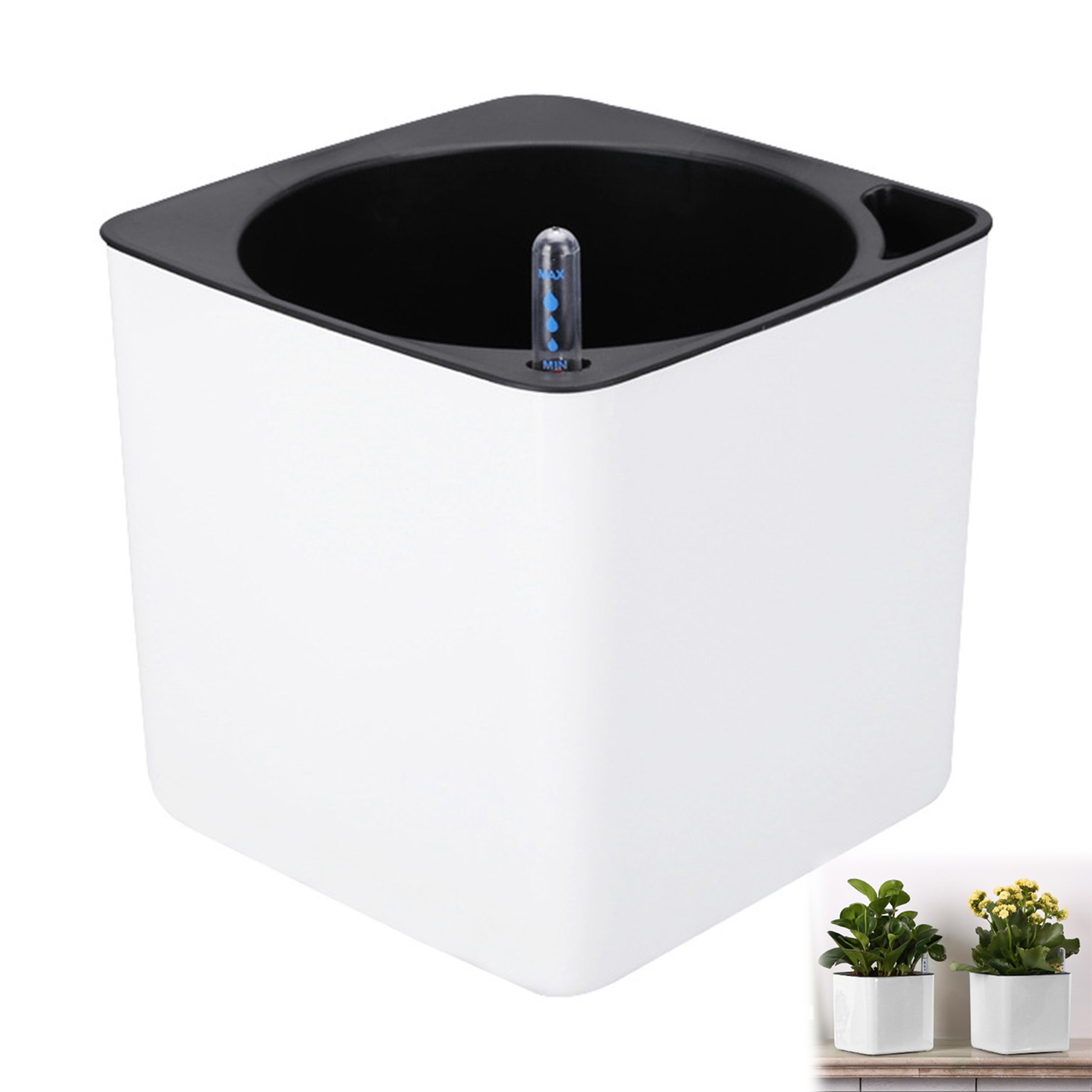 Aloe Vera Pot - Piante da fiori con irrigazione automatica