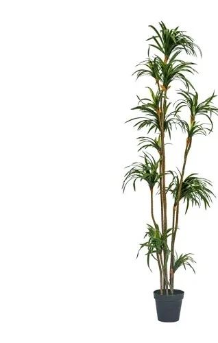 Dracaena Marginata - Dracena Artificiale Dracaena Marginata, Pianta Verde,