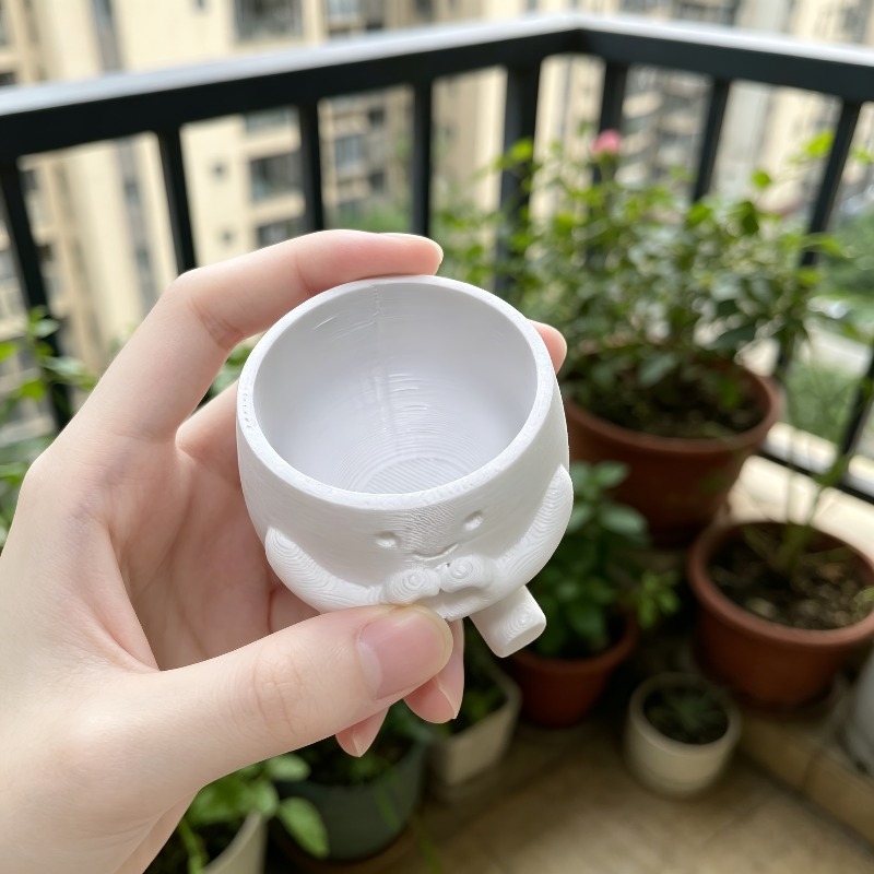 Echeveria Succulent - 1 vaso per piante grasse a