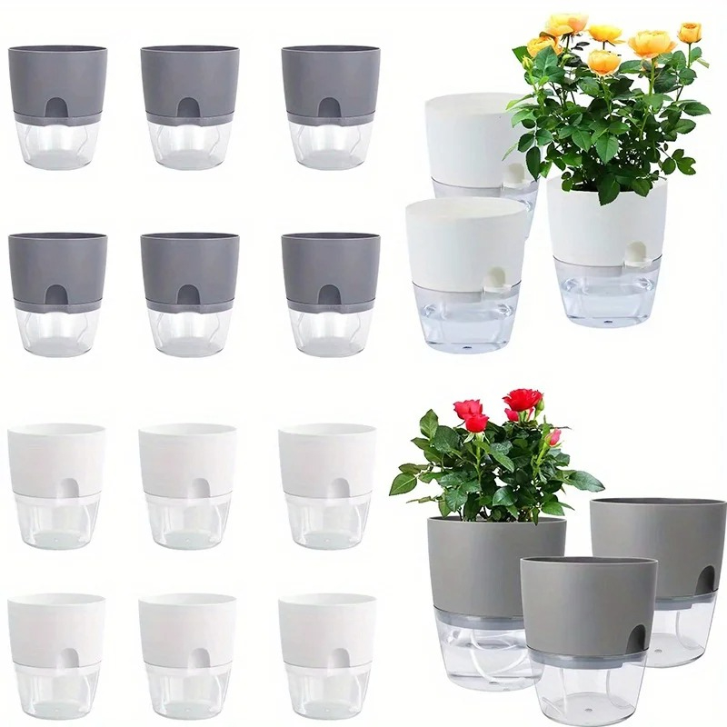 Aloe Vera Pot - 10/5 pz Auto Irrigazione Vaso di