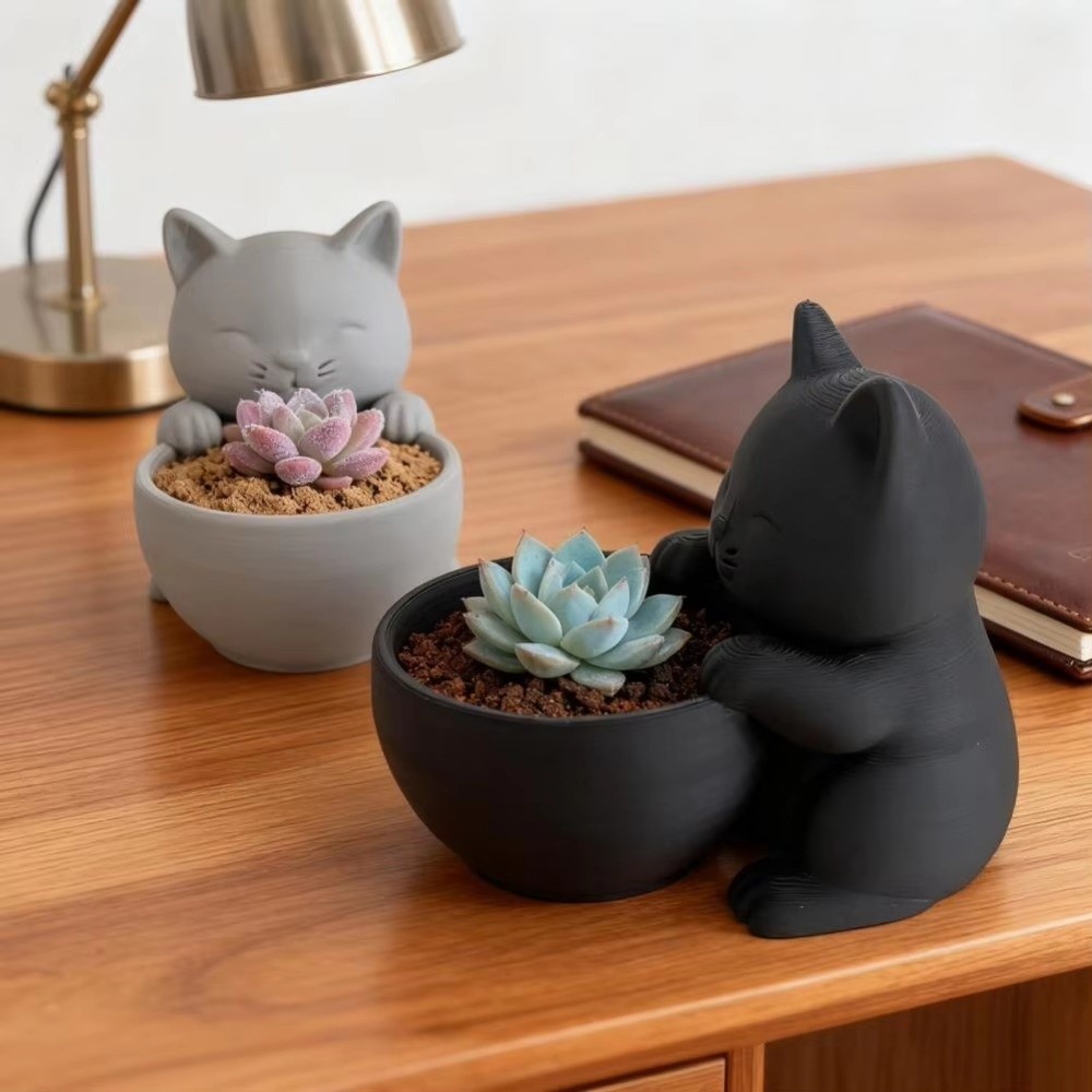 Echeveria Succulent - Mini Vaso per Fiori con Fori