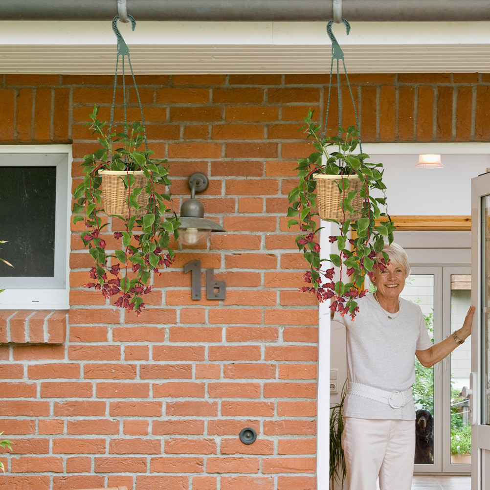 Spider Plant Hanging - Set di 5 Ganci Versatili per