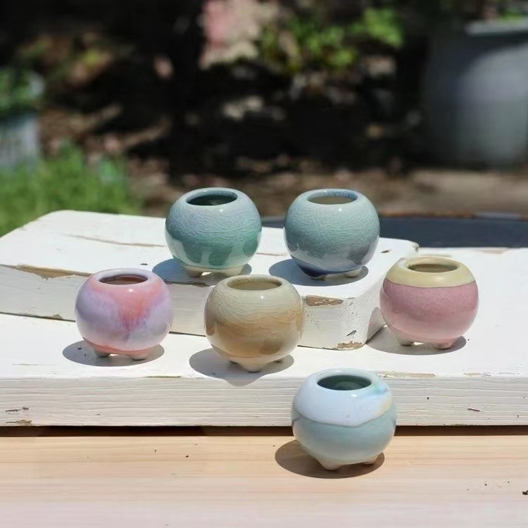 Echeveria Succulent - 6 pezzi mini vaso da fiori