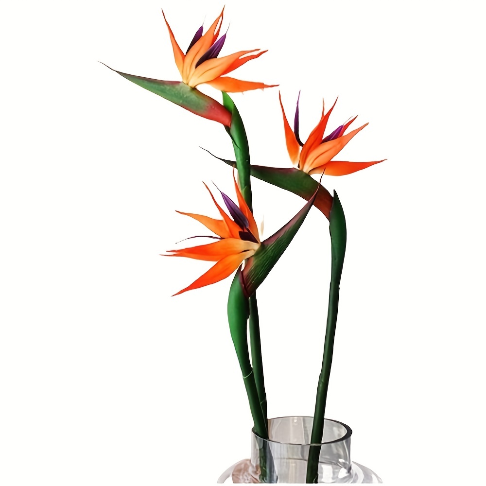 3 pezzi di uccelli artificiali - Bird Paradise Strelitzia recensione e prezzo