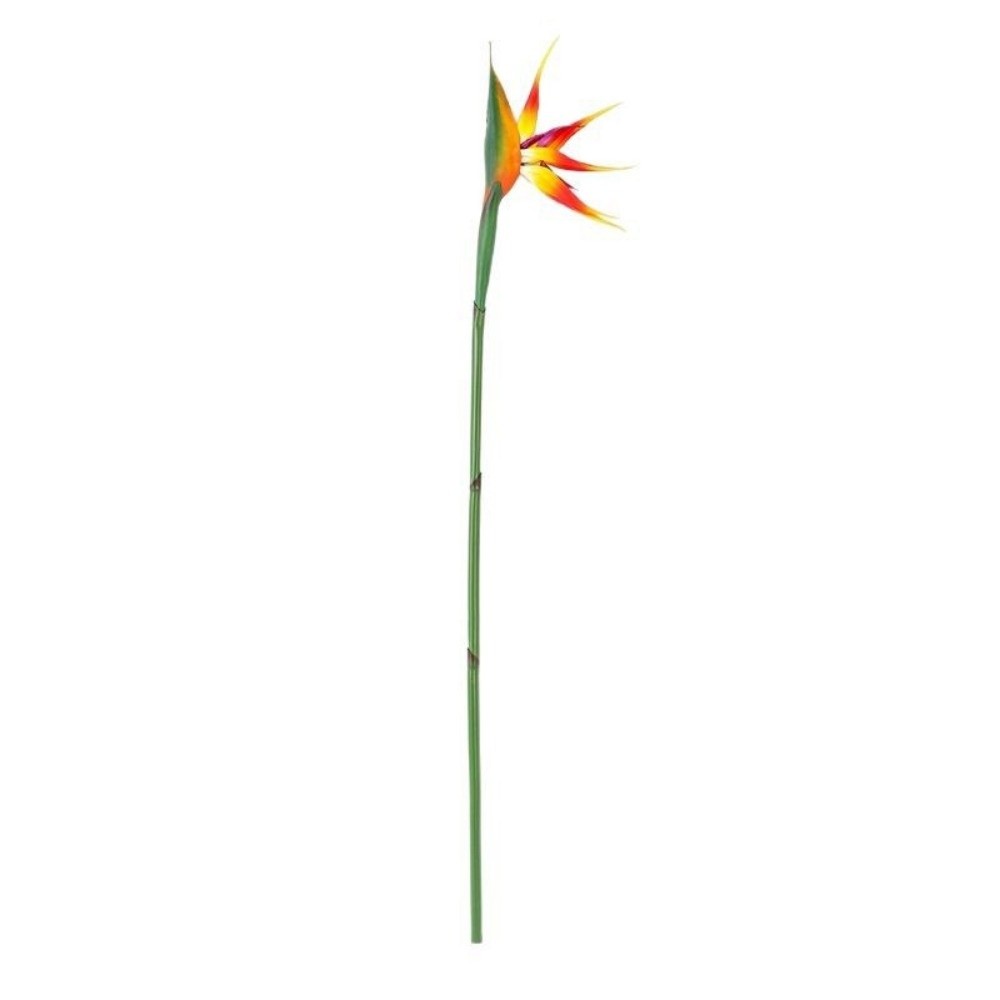 Piante Artificiali Decorative  - Bird Paradise Strelitzia recensione e prezzo