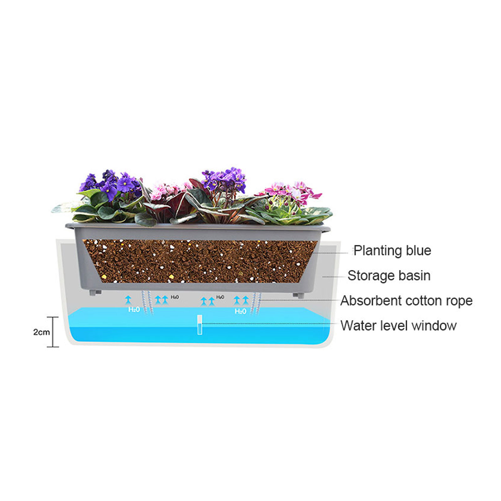 Fioriera autoirrigante con pra - Aloe Vera Pot recensione e prezzo