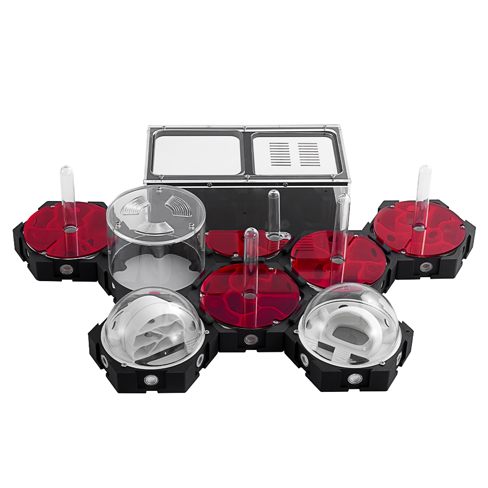 Stampa 3D Formiche Fattoria In - Begonia Rex recensione e prezzo