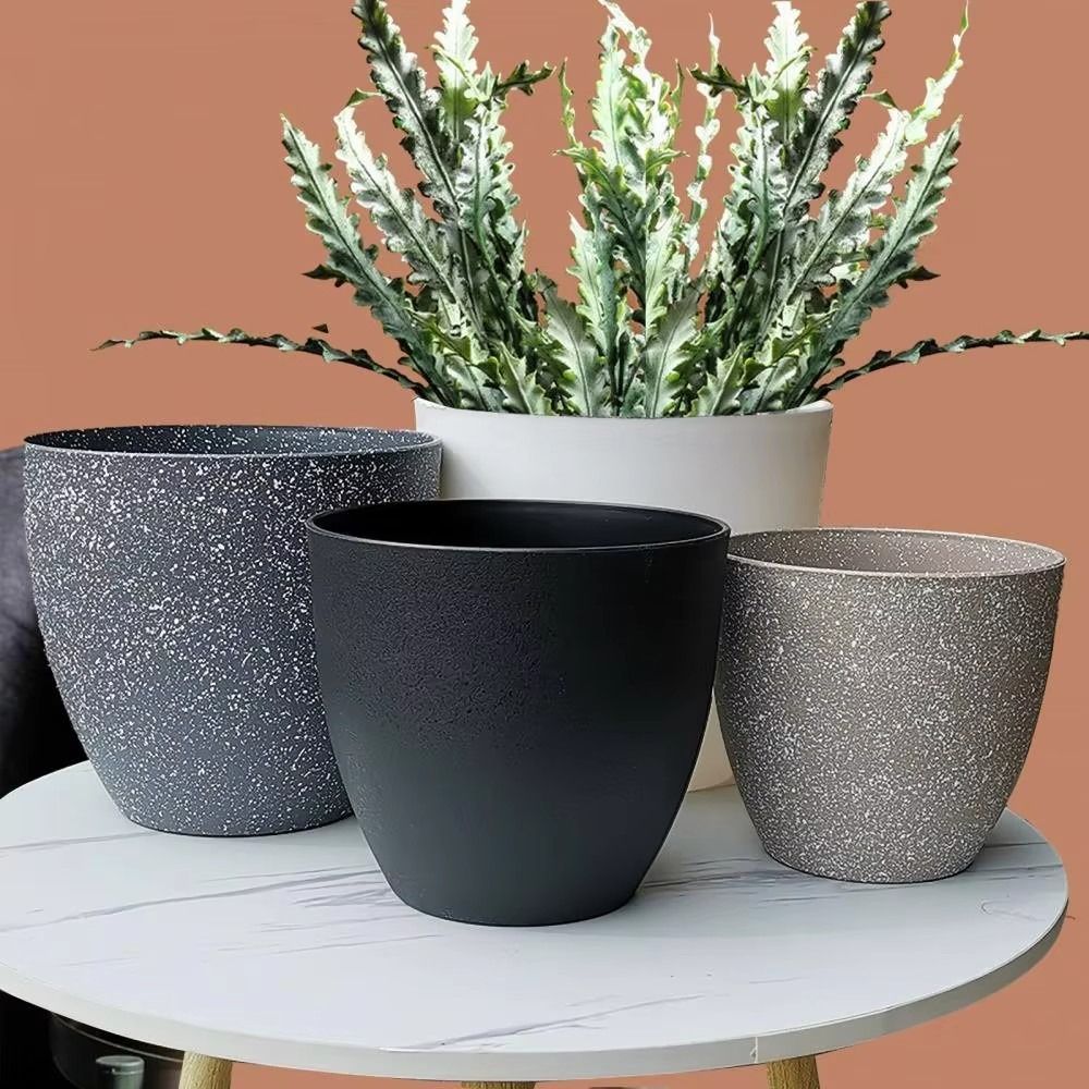 Vaso da fiori per bonsai in pi - Aloe Vera Pot recensione e prezzo