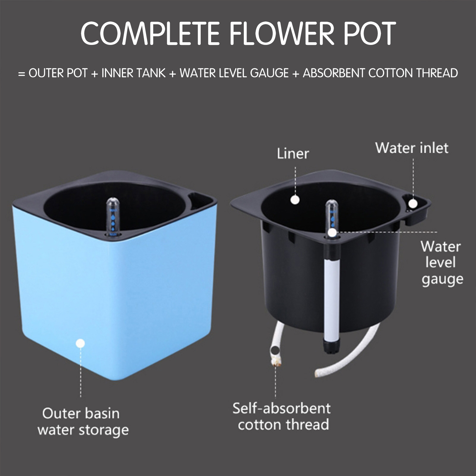 Piante da fiori con irrigazion - Aloe Vera Pot recensione e prezzo