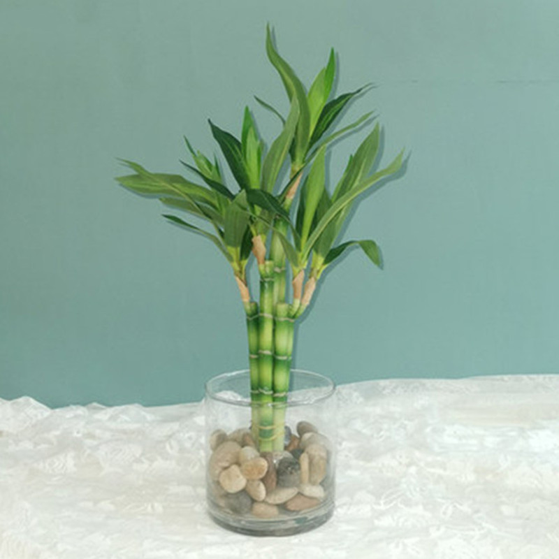 Nuovo 40 cm rFtificial Lucky B - Echeveria Succulent recensione e prezzo