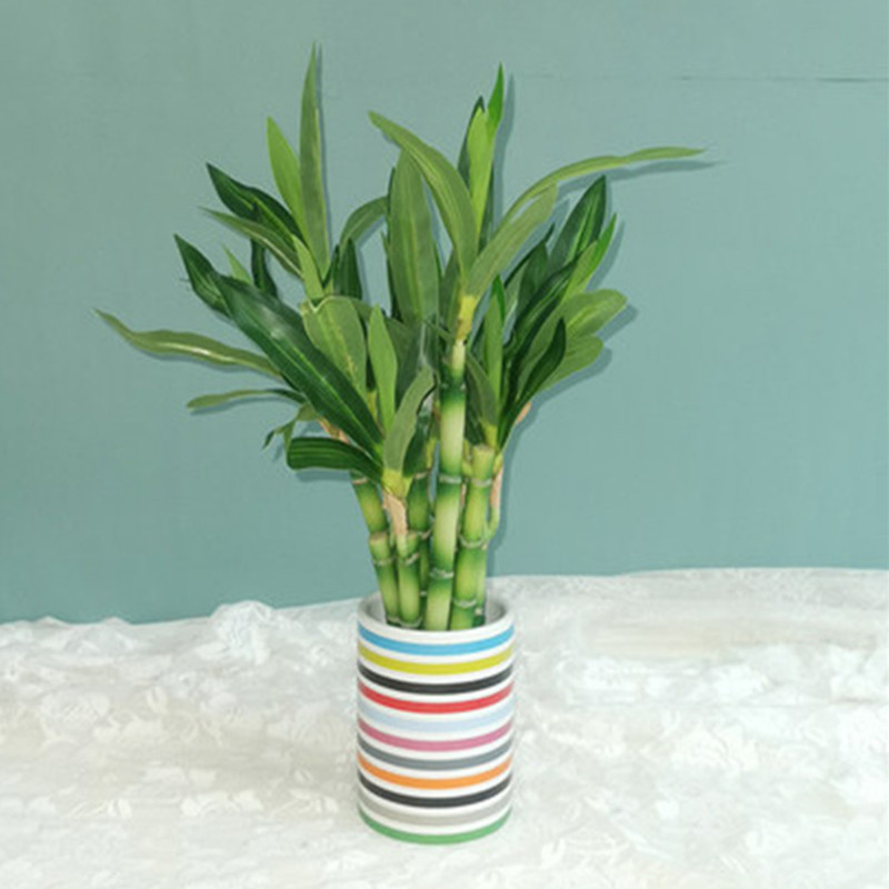 Nuovo 40 cm rFtificial Lucky B - Echeveria Succulent recensione e prezzo