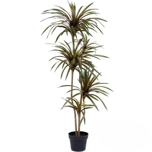 Albero Artificiale Dracaena Ma - Dracaena Marginata recensione e prezzo