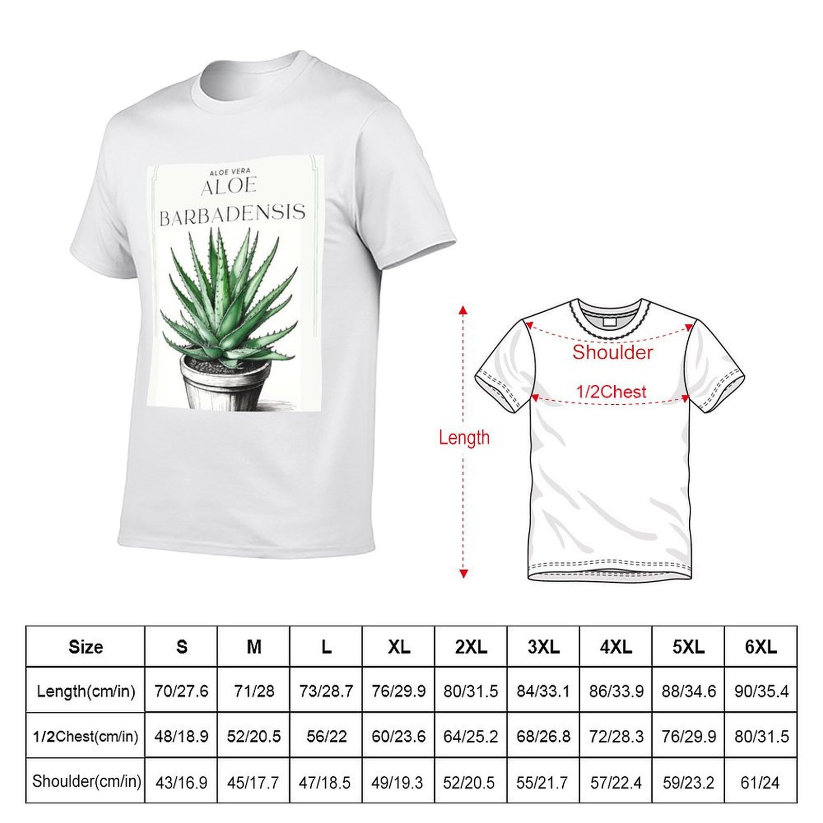 Aloe Vera botanica in vaso, sc - Aloe Vera Pot recensione e prezzo