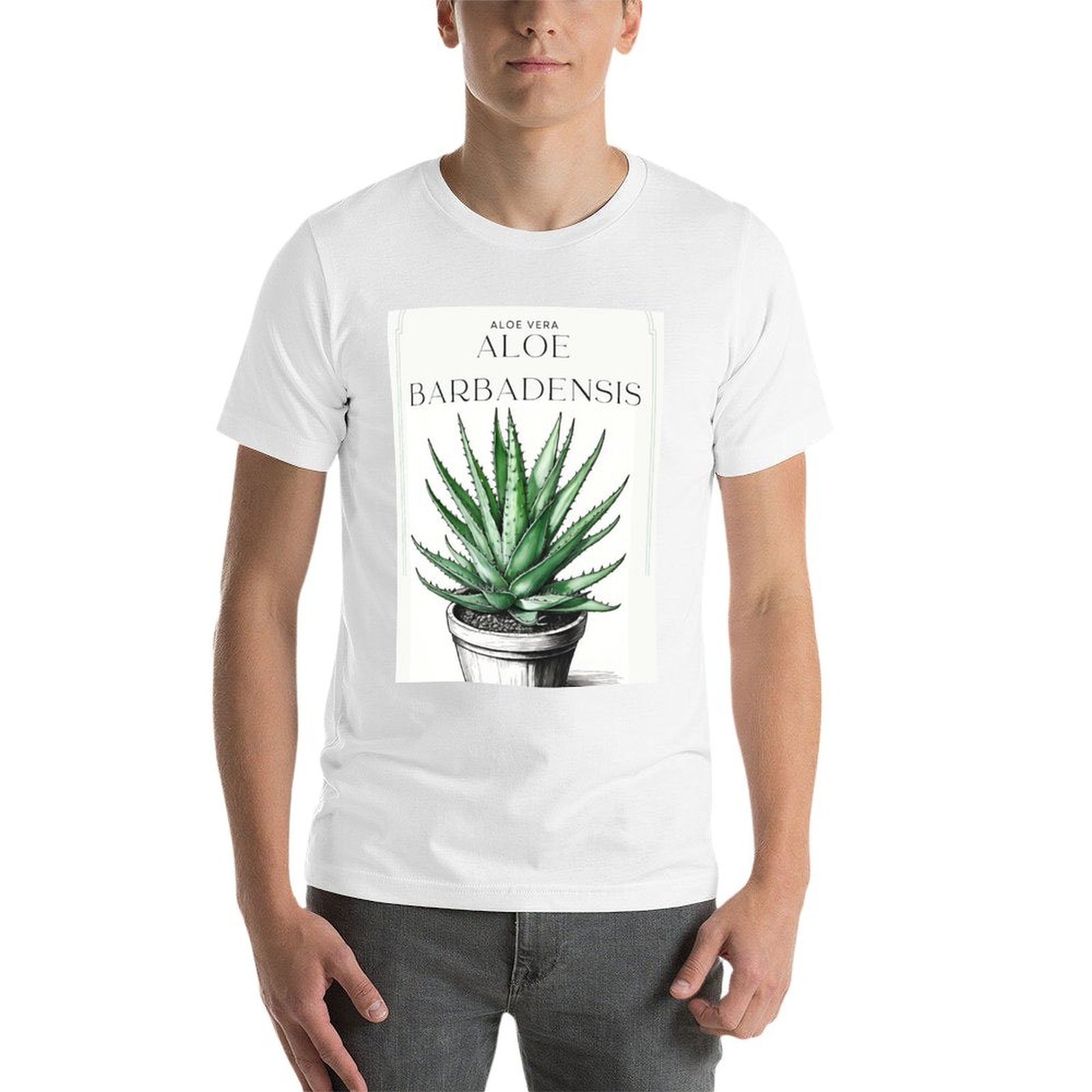 Aloe Vera botanica in vaso, sc - Aloe Vera Pot recensione e prezzo