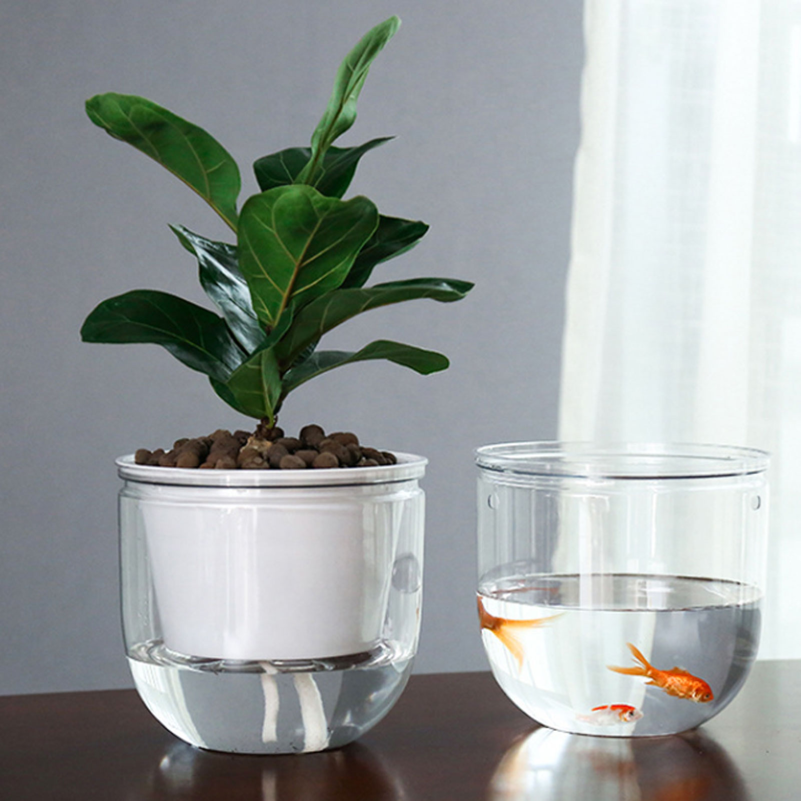 Vasi per Piante con Irrigazion - Spider Plant Hanging recensione e prezzo
