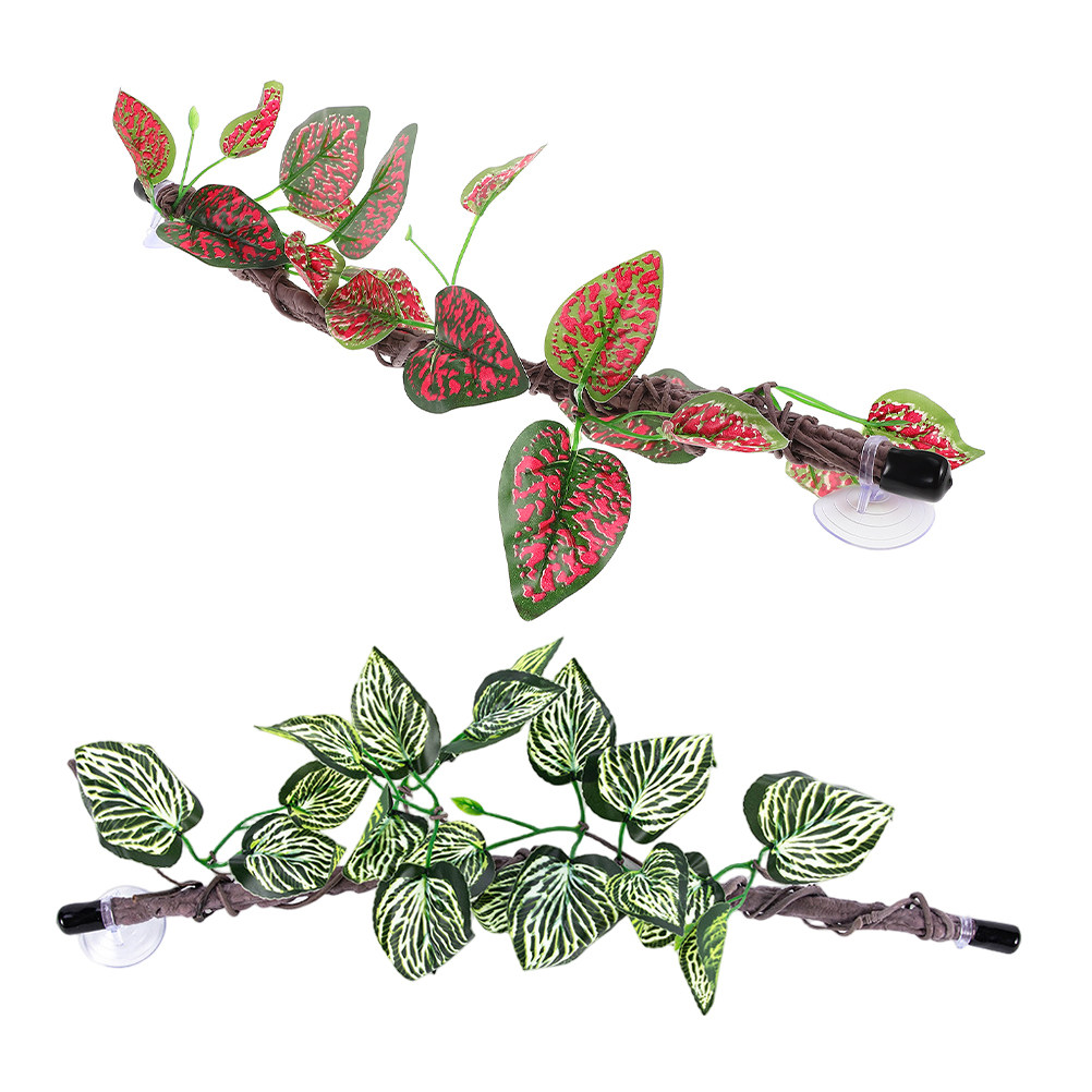 2 Pezzi di Piante Rampicanti A - Spider Plant Hanging recensione e prezzo