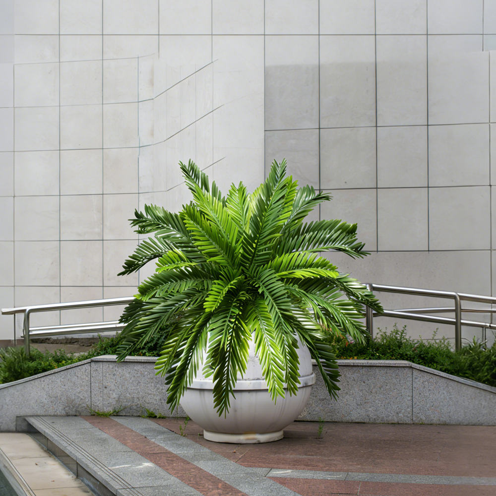Piante di palma artificiali da - Dracaena Marginata recensione e prezzo
