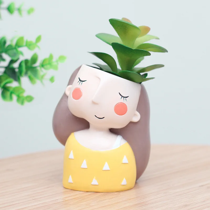 Bella ragazza vaso di fiori pe - Echeveria Succulent recensione e prezzo