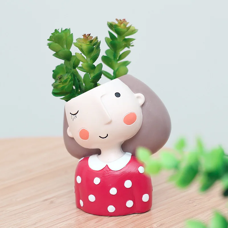 Bella ragazza vaso di fiori pe - Echeveria Succulent recensione e prezzo