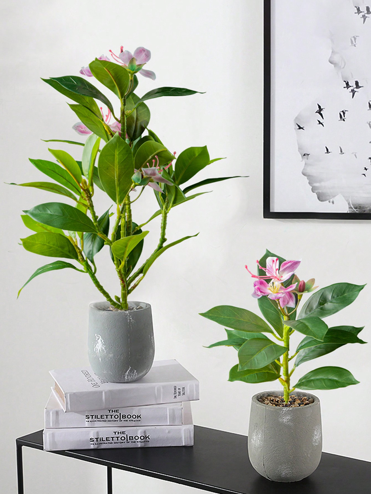 Piante Azaleas artificiali da  - Ficus Lyrata Tree recensione e prezzo