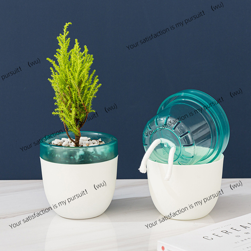 Vaso da fiori pigro con assorb - Aloe Vera Pot recensione e prezzo