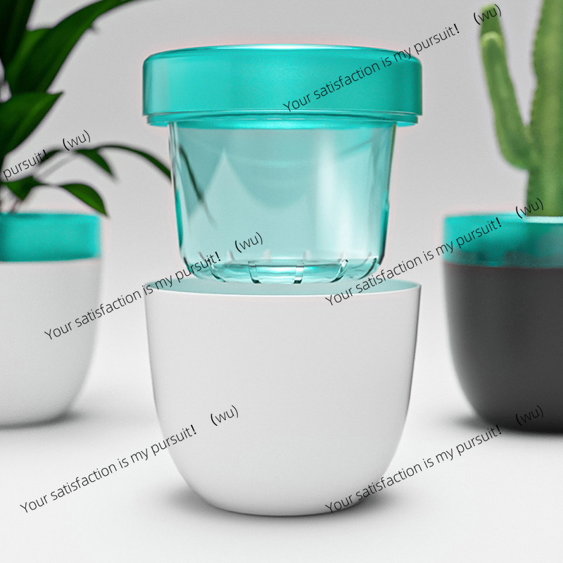 Vaso da fiori pigro con assorb - Aloe Vera Pot recensione e prezzo