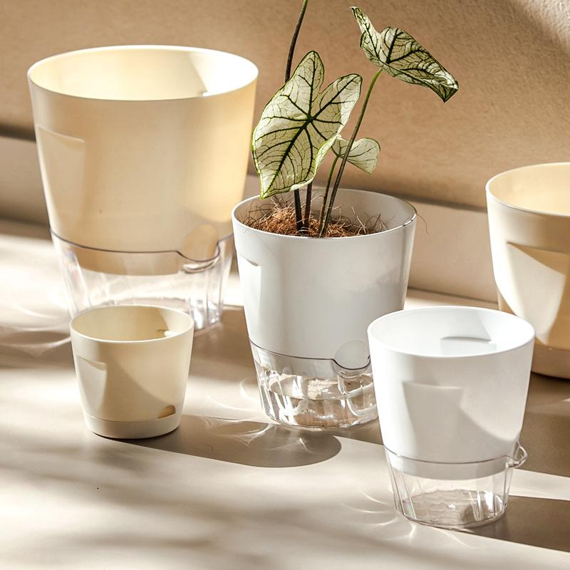 Nuovi vasi autoirriganti da in - Aloe Vera Pot recensione e prezzo