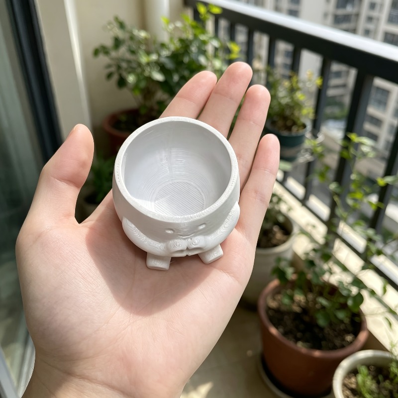 1 vaso per piante grasse a for - Echeveria Succulent recensione e prezzo