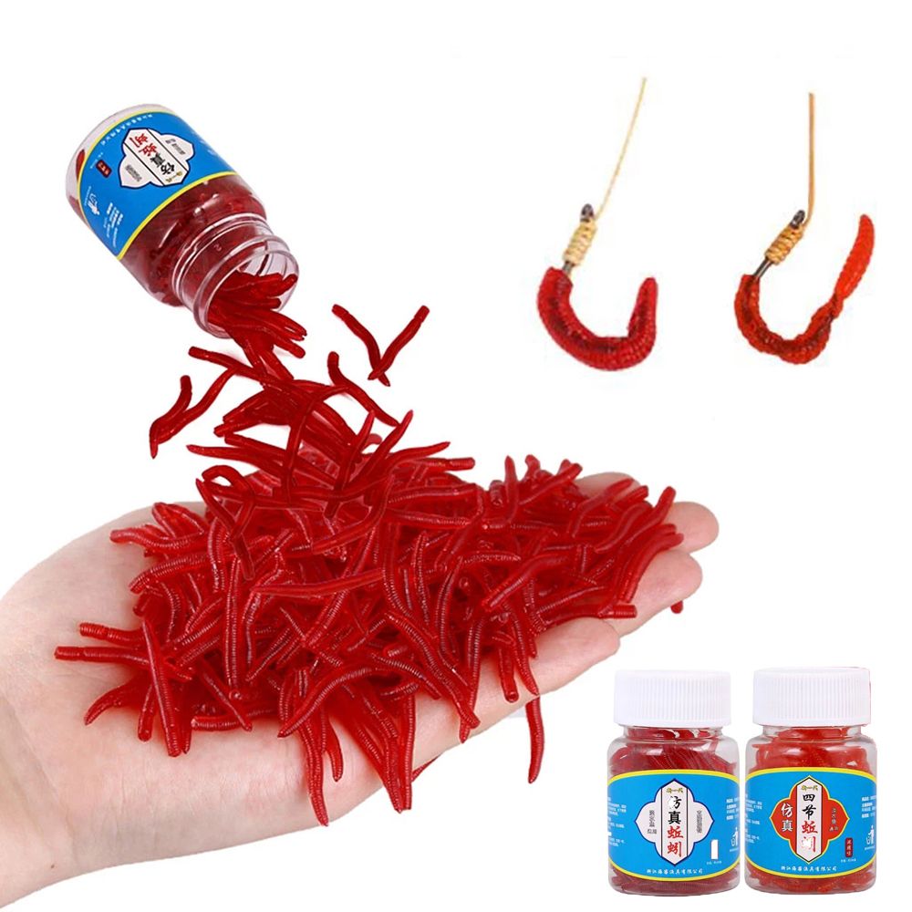 100 pz/bottiglia Realistico Af - Aglaonema Red recensione e prezzo