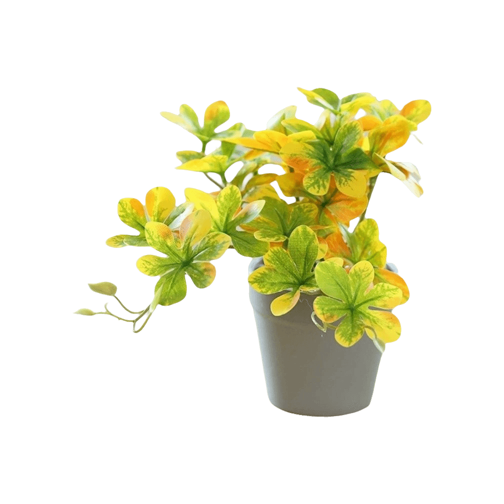 Bonsai Artificiale, Pianta Art - Spider Plant Hanging recensione e prezzo