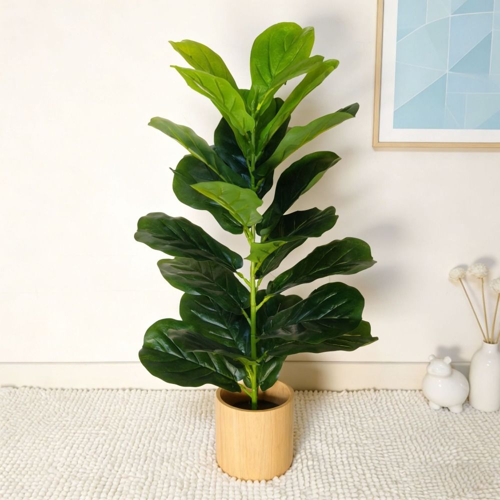 Albero di Ficus Artificiale in - Ficus Lyrata Tree recensione e prezzo