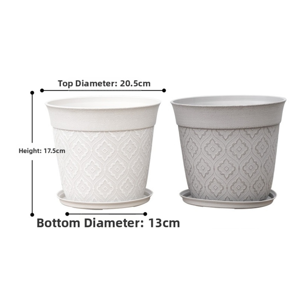 Vaso da fiori da 8 pollici con - Echeveria Succulent recensione e prezzo