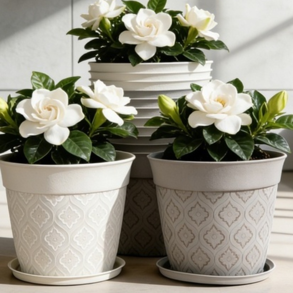Vaso da fiori da 8 pollici con - Echeveria Succulent recensione e prezzo
