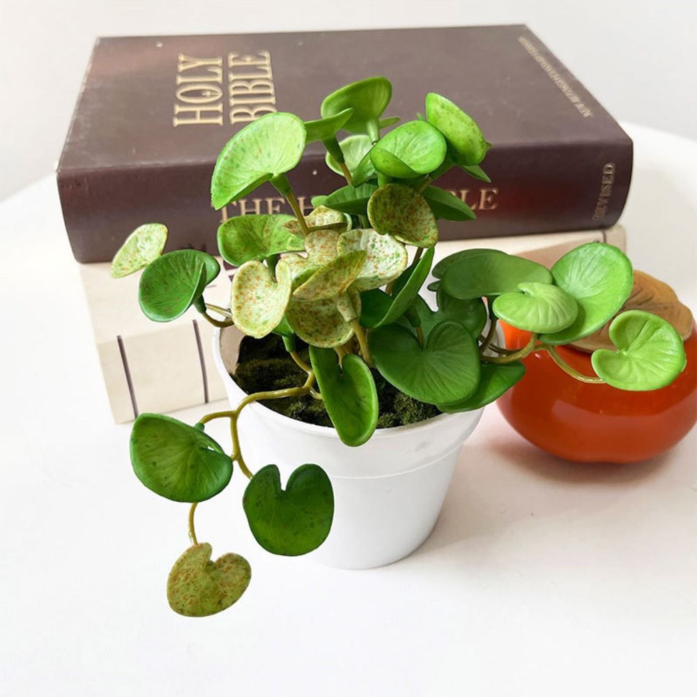 Colla morbida Pianta artificia - Echeveria Succulent recensione e prezzo