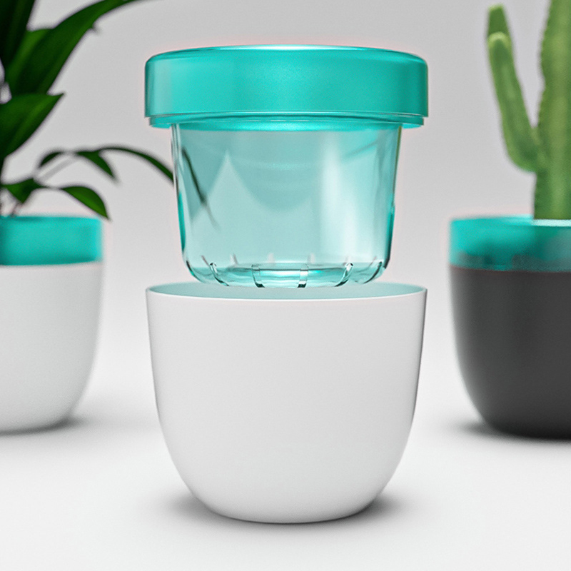 Vaso da fiori pigro con assorb - Aloe Vera Pot recensione e prezzo