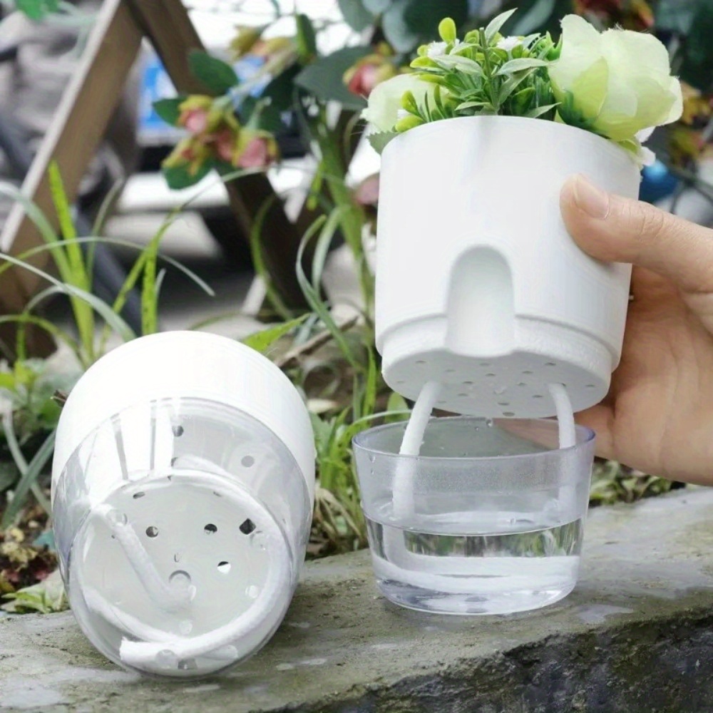 10/5 pz Auto Irrigazione Vaso  - Aloe Vera Pot recensione e prezzo