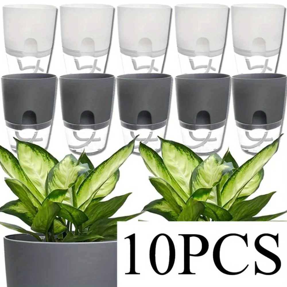 10/5 pz Auto Irrigazione Vaso  - Aloe Vera Pot recensione e prezzo