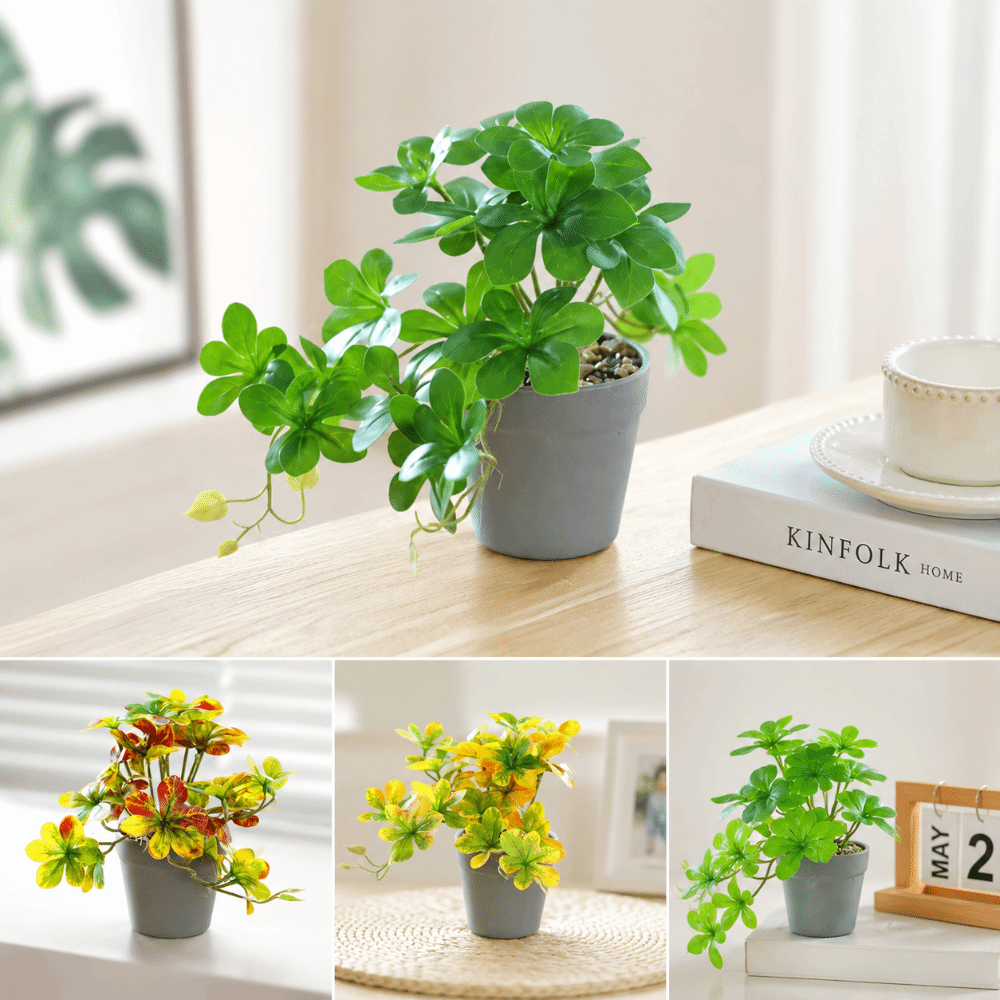 Bonsai Artificiale, Pianta Fin - Spider Plant Hanging recensione e prezzo