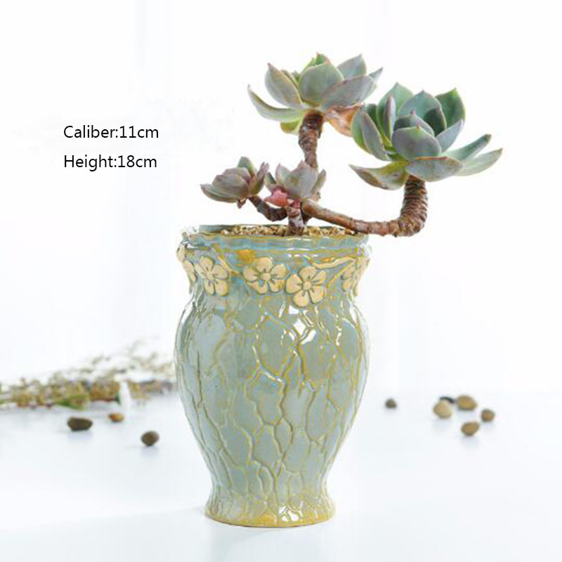 Piante succulente Vaso di Fior - Echeveria Succulent recensione e prezzo