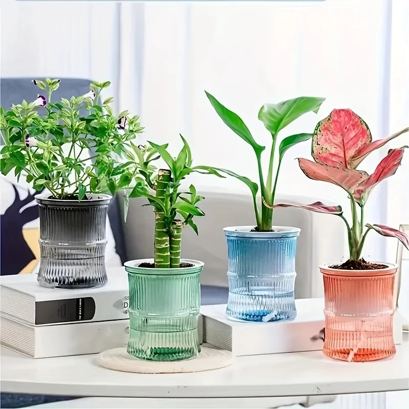 Vaso per Piante Trasparente a  - Aloe Vera Pot recensione e prezzo