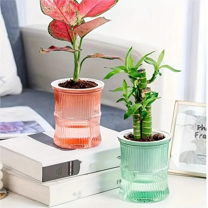 Vaso per Piante Trasparente a  - Aloe Vera Pot recensione e prezzo