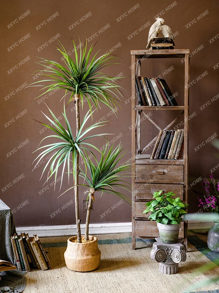 Simulazione di lusso leggera P - Dracaena Marginata recensione e prezzo