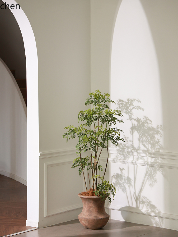 LYY Vaso da terra con pianta v - Ficus Lyrata Tree recensione e prezzo