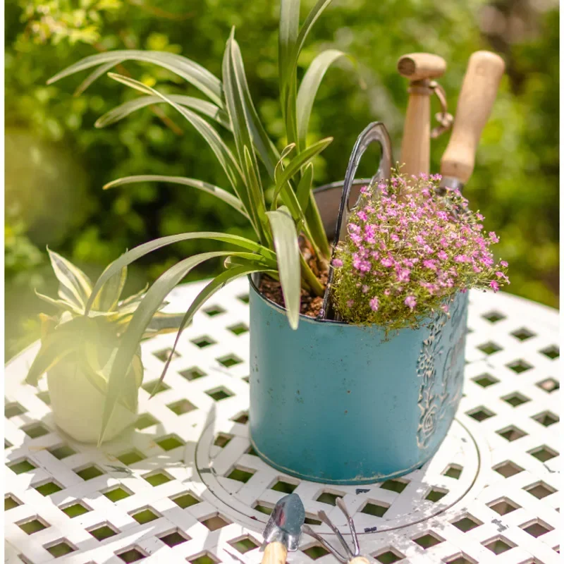 Fioriera da parete blu sospesa - Spider Plant Hanging recensione e prezzo
