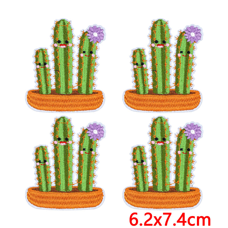 10 Pezzi/Lotto Toppe Termoades - Aloe Vera Pot recensione e prezzo