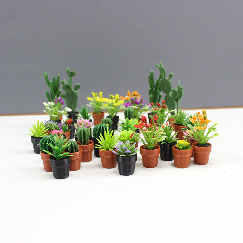 Mini piante simulate Cactus Mo - Echeveria Succulent recensione e prezzo