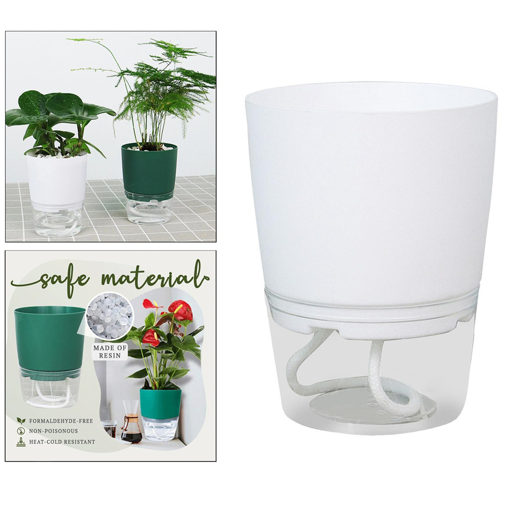 Vaso da fiori idroponico pigro - Aloe Vera Pot recensione e prezzo