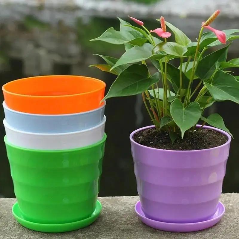 1 pz vaso da fiori in plastica - Echeveria Succulent recensione e prezzo