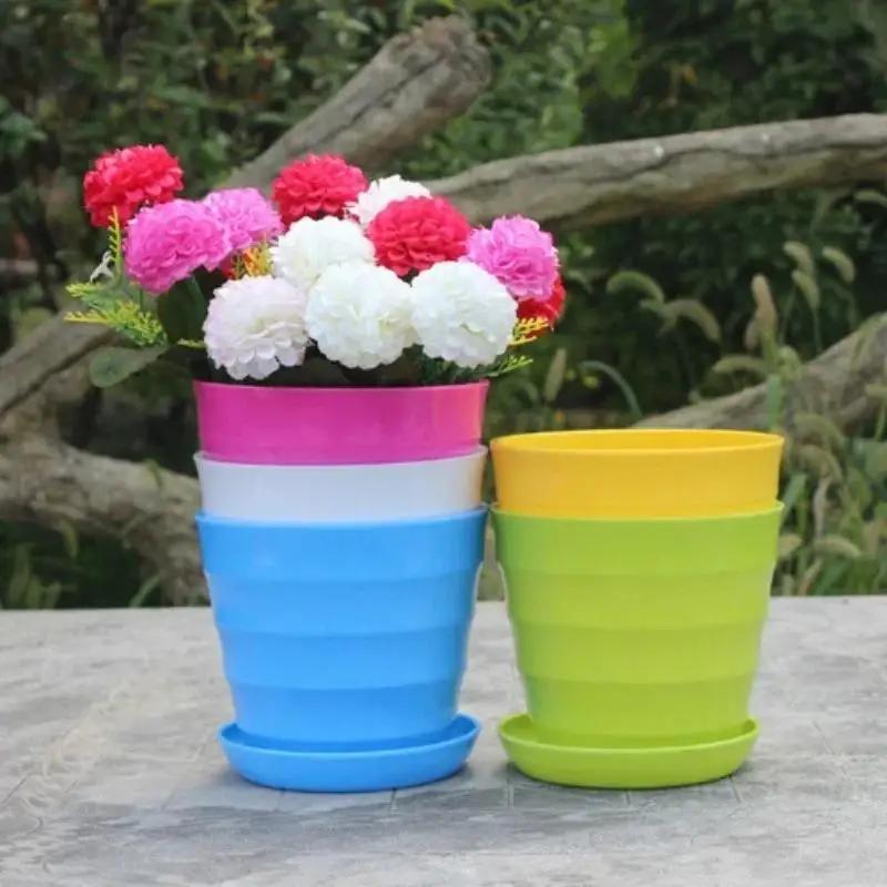 1 pz vaso da fiori in plastica - Echeveria Succulent recensione e prezzo